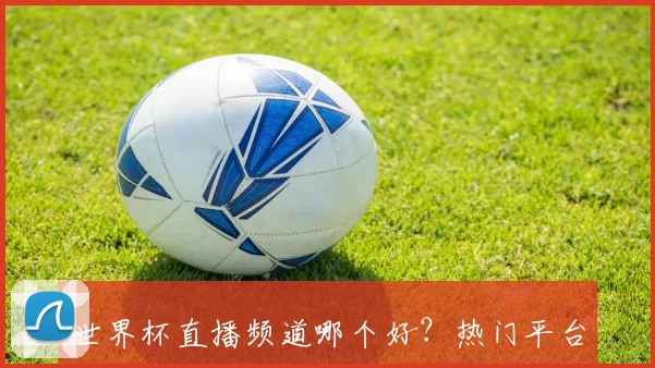 世界杯直播频道哪个好?热门平台推荐