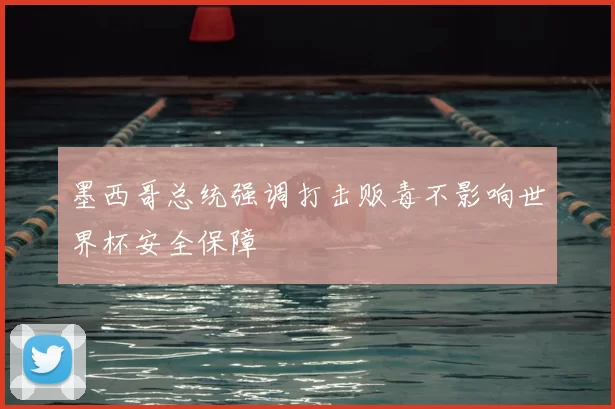 墨西哥总统强调打击贩毒不影响世界杯安全保障