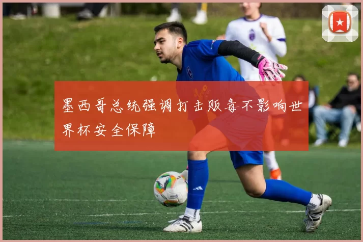 墨西哥总统强调打击贩毒不影响世界杯安全保障