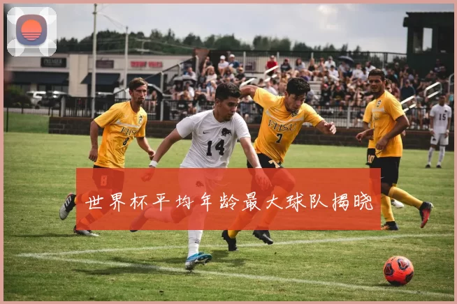 世界杯平均年龄最大球队揭晓