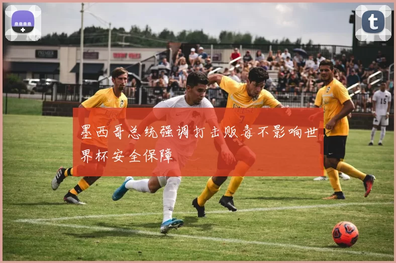 墨西哥总统强调打击贩毒不影响世界杯安全保障
