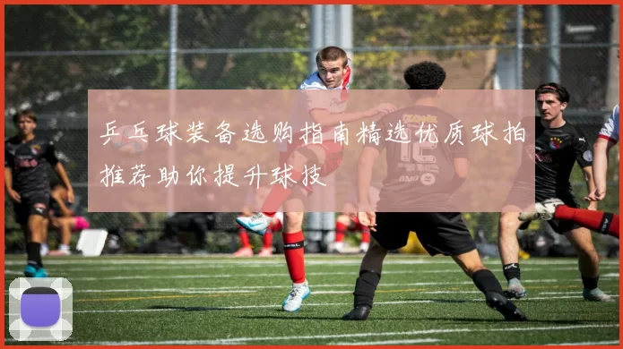 乒乓球装备选购指南精选优质球拍推荐助你提升球技