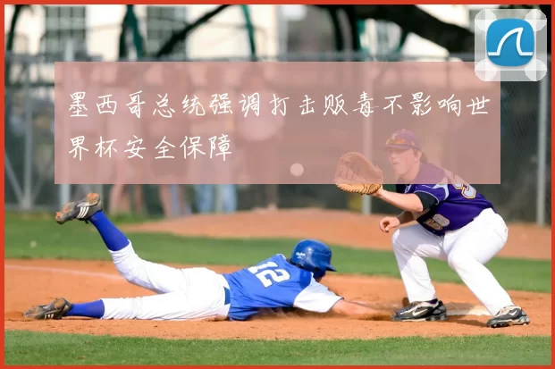 墨西哥总统强调打击贩毒不影响世界杯安全保障