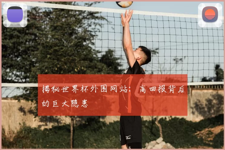 揭秘世界杯外围网站：高回报背后的巨大隐患
