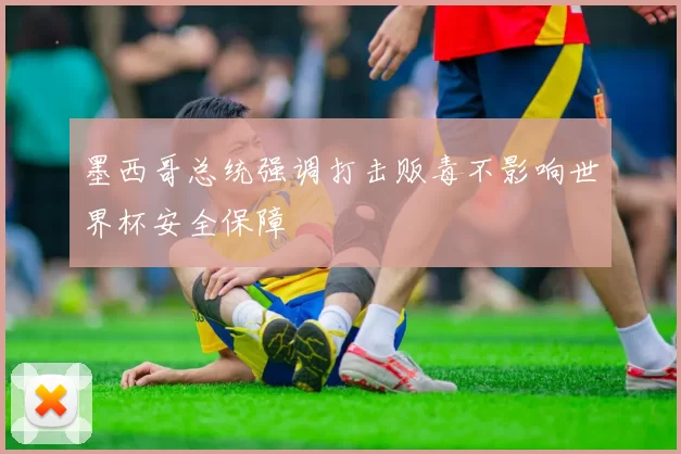 墨西哥总统强调打击贩毒不影响世界杯安全保障