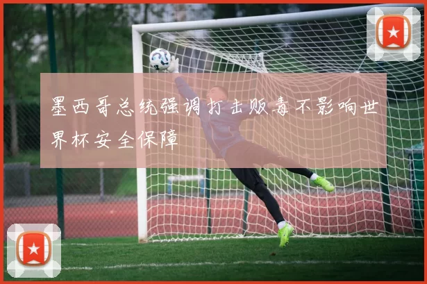 墨西哥总统强调打击贩毒不影响世界杯安全保障