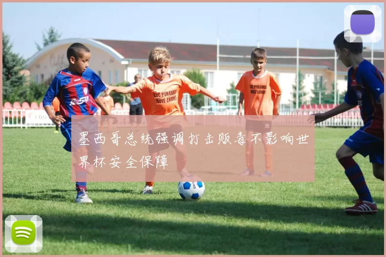 墨西哥总统强调打击贩毒不影响世界杯安全保障
