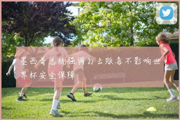 墨西哥总统强调打击贩毒不影响世界杯安全保障
