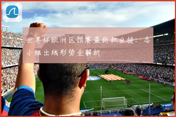 世界杯欧洲区预赛最新积分榜：各小组出线形势全解析