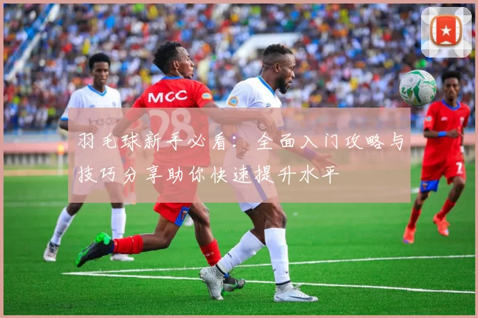 羽毛球新手必看:全面入门攻略与技巧分享助你快速提升水平