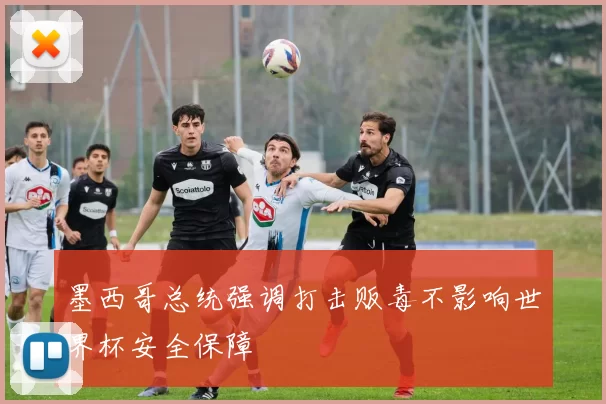 墨西哥总统强调打击贩毒不影响世界杯安全保障