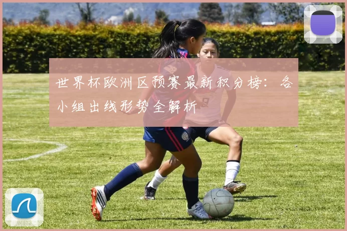 世界杯欧洲区预赛最新积分榜:各小组出线形势全解析