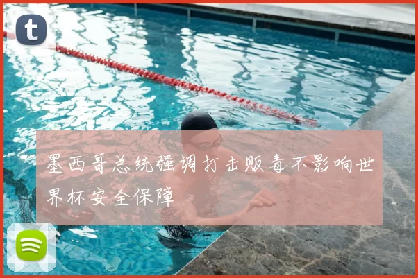 墨西哥总统强调打击贩毒不影响世界杯安全保障